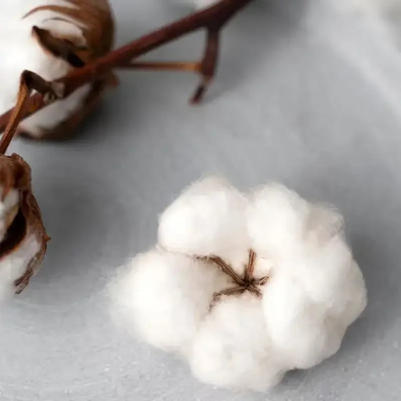 Super Bowl LX T-Shirt